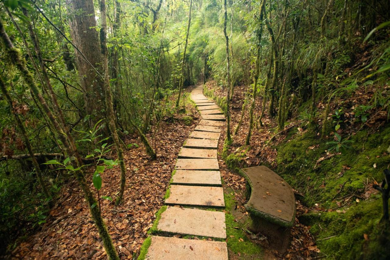 Dantica Cloud Forest Lodge ซาน เจราร์โด  เด โดตา ภายนอก รูปภาพ