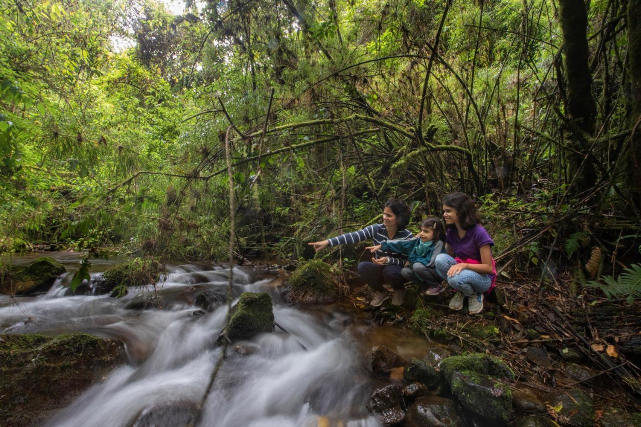 Dantica Cloud Forest Lodge ซาน เจราร์โด  เด โดตา ภายนอก รูปภาพ
