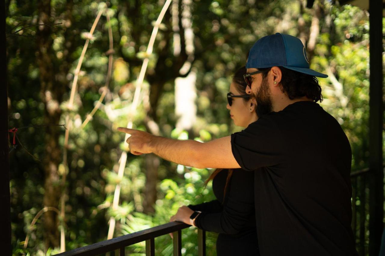 Dantica Cloud Forest Lodge ซาน เจราร์โด  เด โดตา ภายนอก รูปภาพ