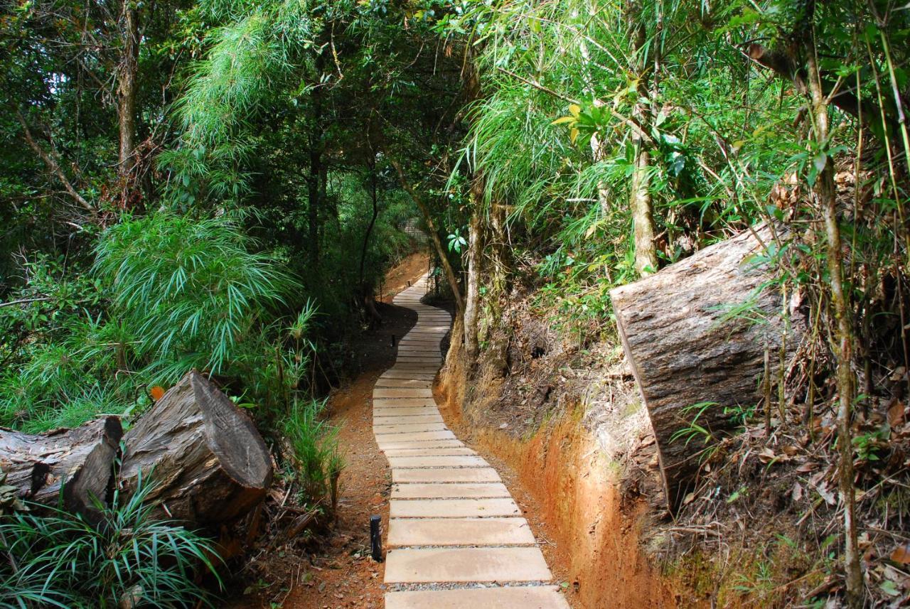 Dantica Cloud Forest Lodge ซาน เจราร์โด  เด โดตา ภายนอก รูปภาพ