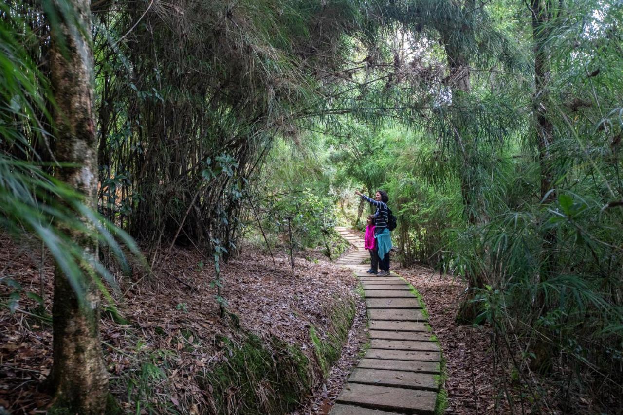 Dantica Cloud Forest Lodge ซาน เจราร์โด  เด โดตา ภายนอก รูปภาพ