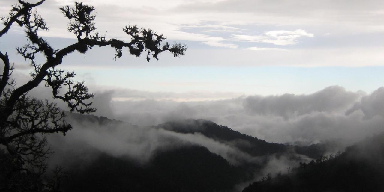 Dantica Cloud Forest Lodge ซาน เจราร์โด  เด โดตา ภายนอก รูปภาพ
