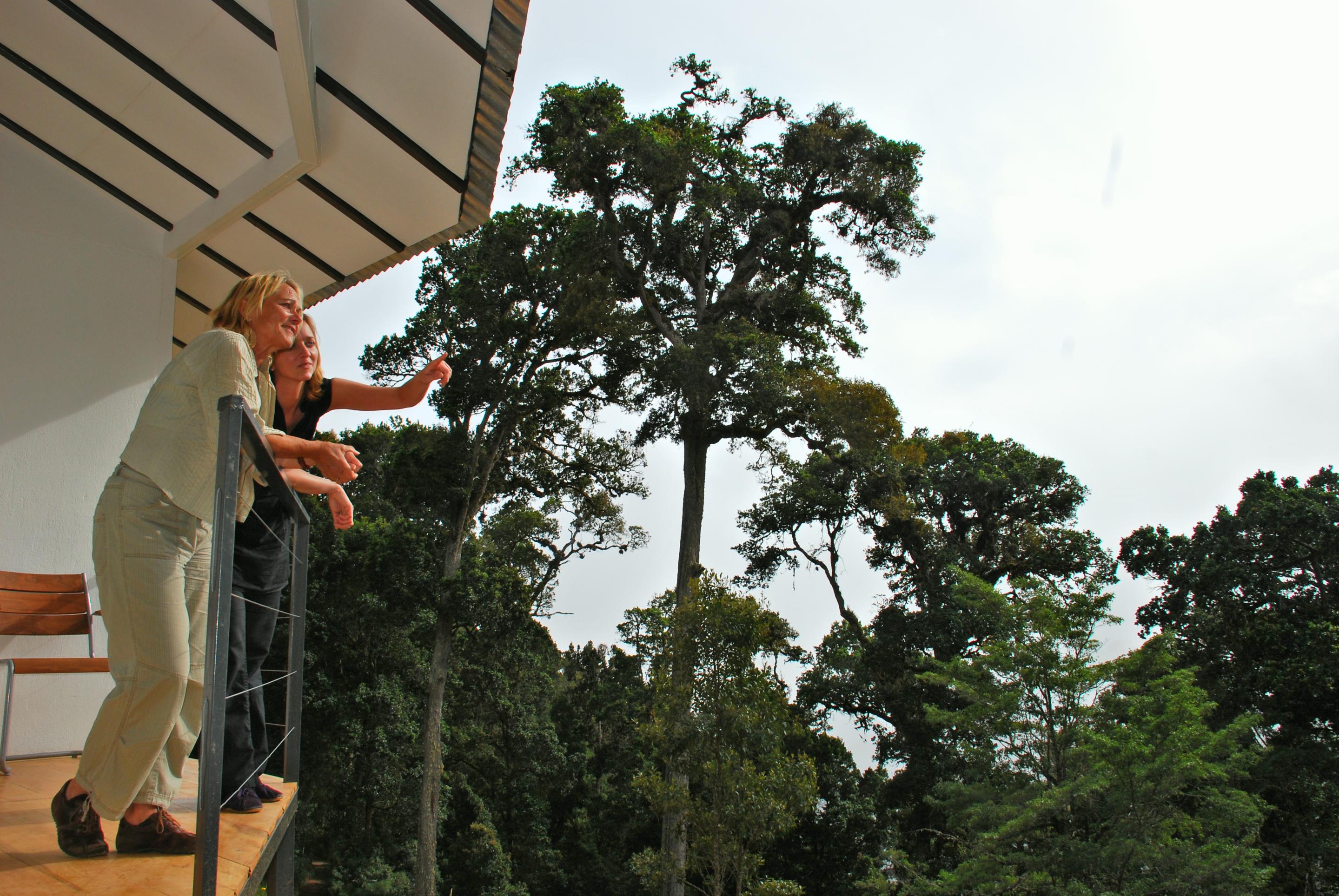 Dantica Cloud Forest Lodge ซาน เจราร์โด  เด โดตา ภายนอก รูปภาพ