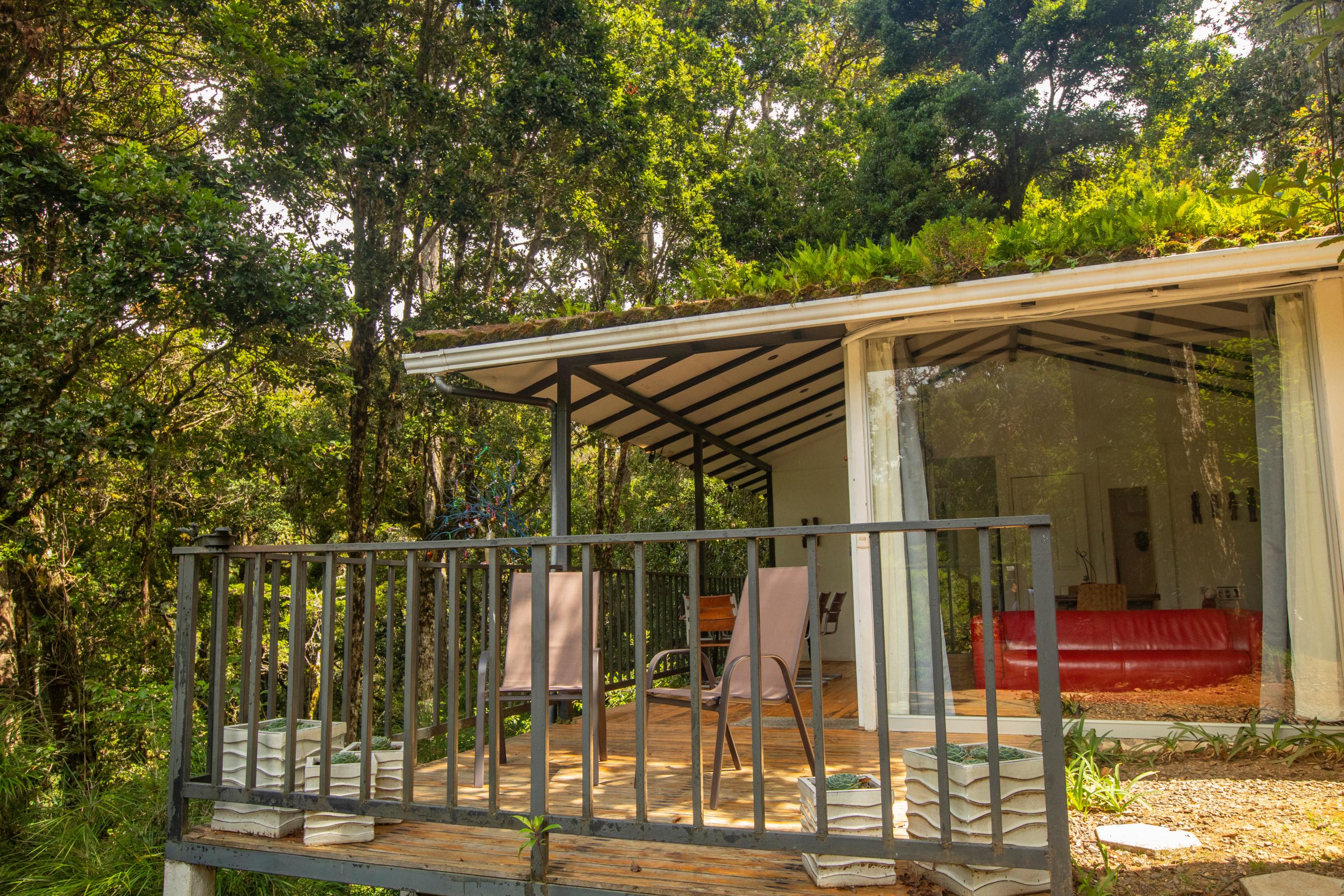 Dantica Cloud Forest Lodge ซาน เจราร์โด  เด โดตา ภายนอก รูปภาพ