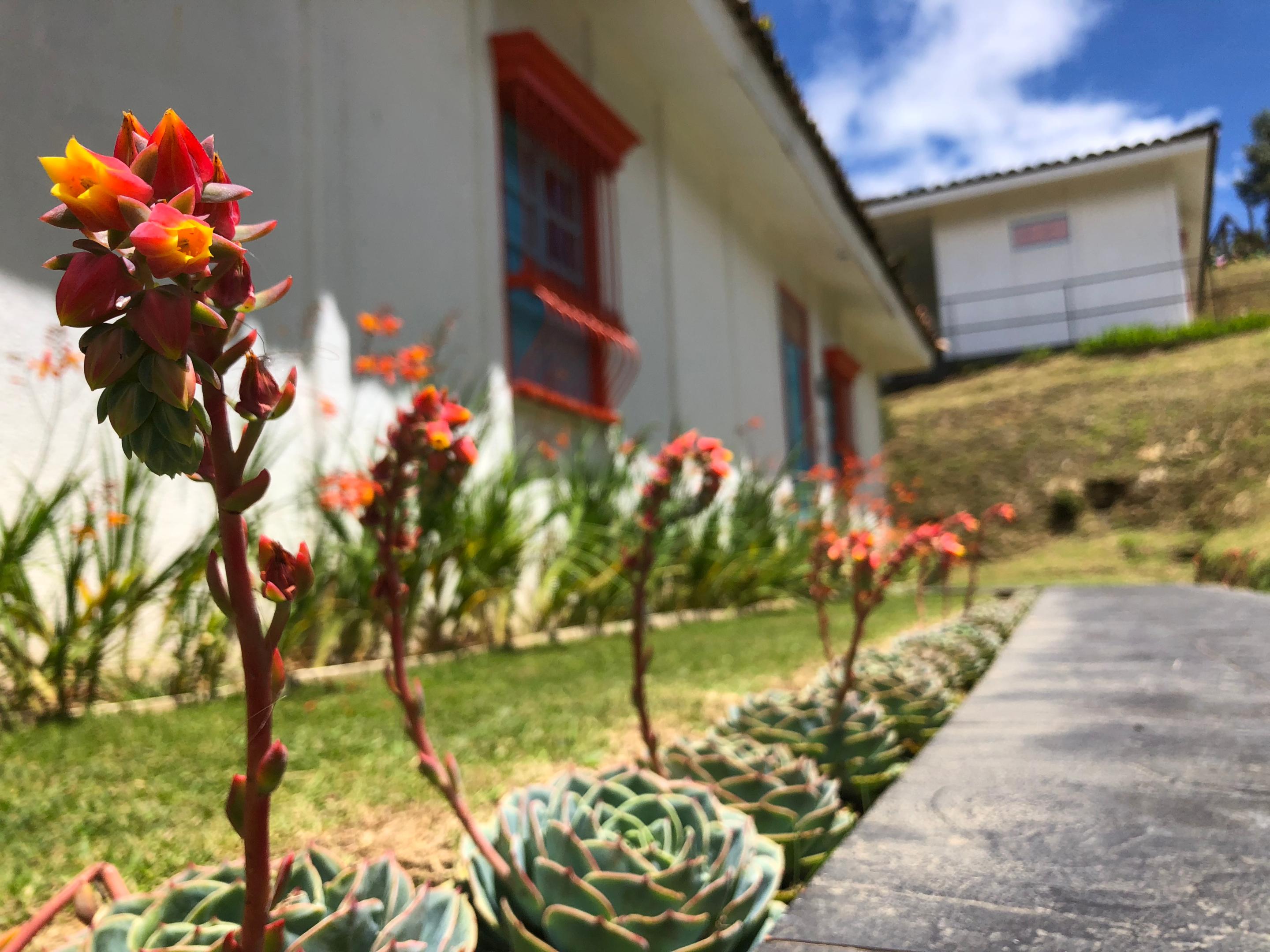 Dantica Cloud Forest Lodge ซาน เจราร์โด  เด โดตา ภายนอก รูปภาพ
