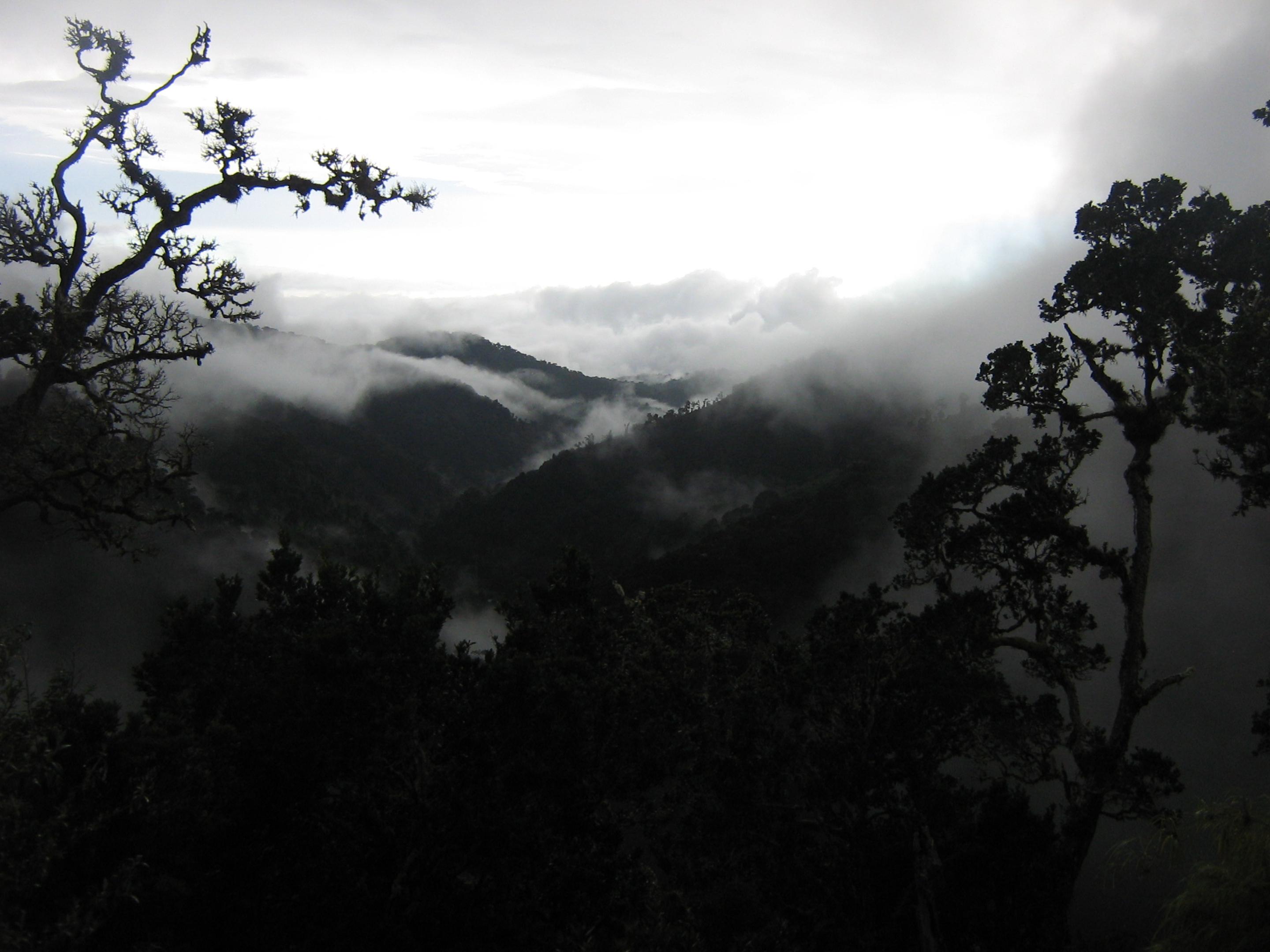 Dantica Cloud Forest Lodge ซาน เจราร์โด  เด โดตา ภายนอก รูปภาพ