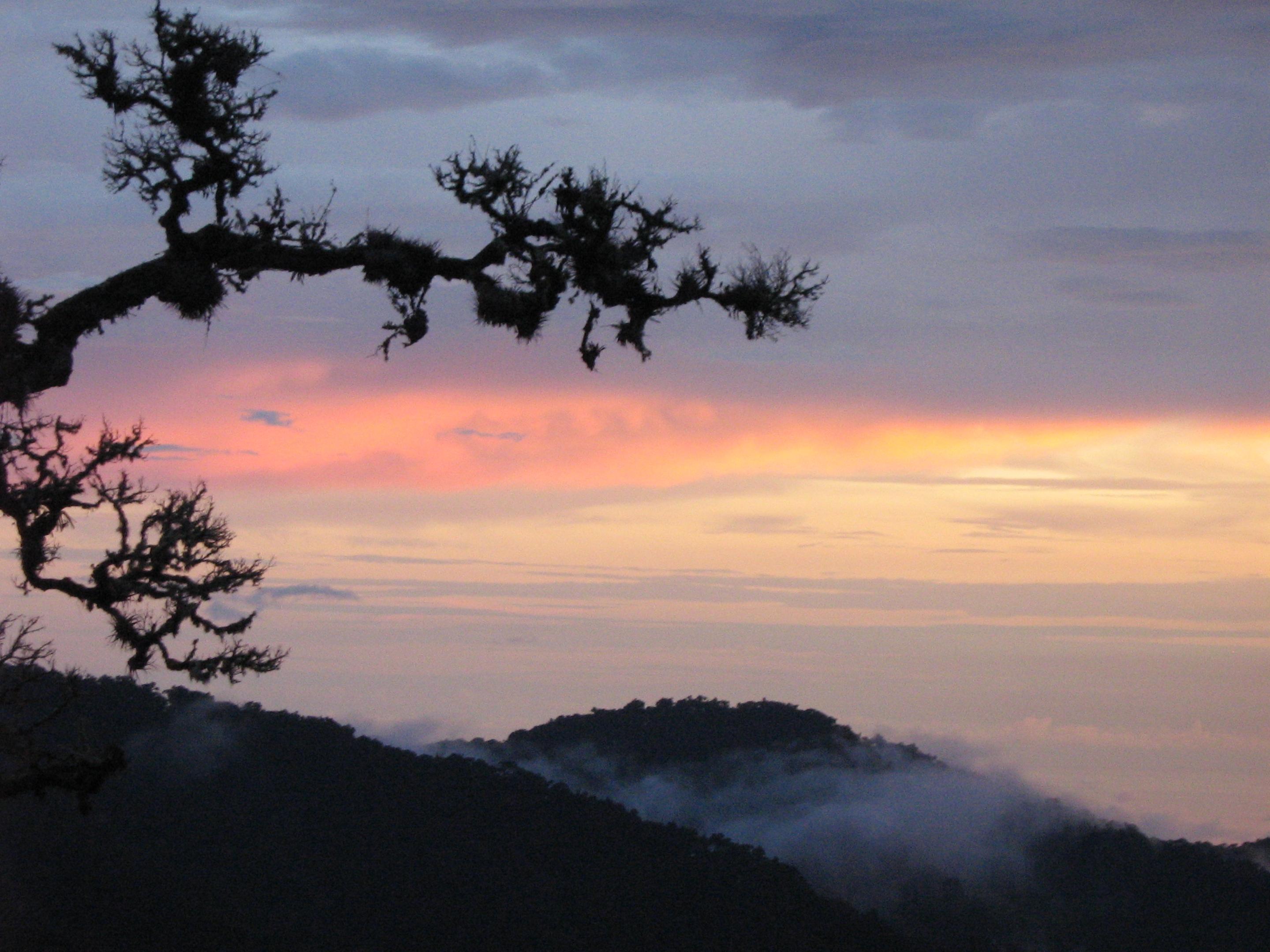 Dantica Cloud Forest Lodge ซาน เจราร์โด  เด โดตา ภายนอก รูปภาพ