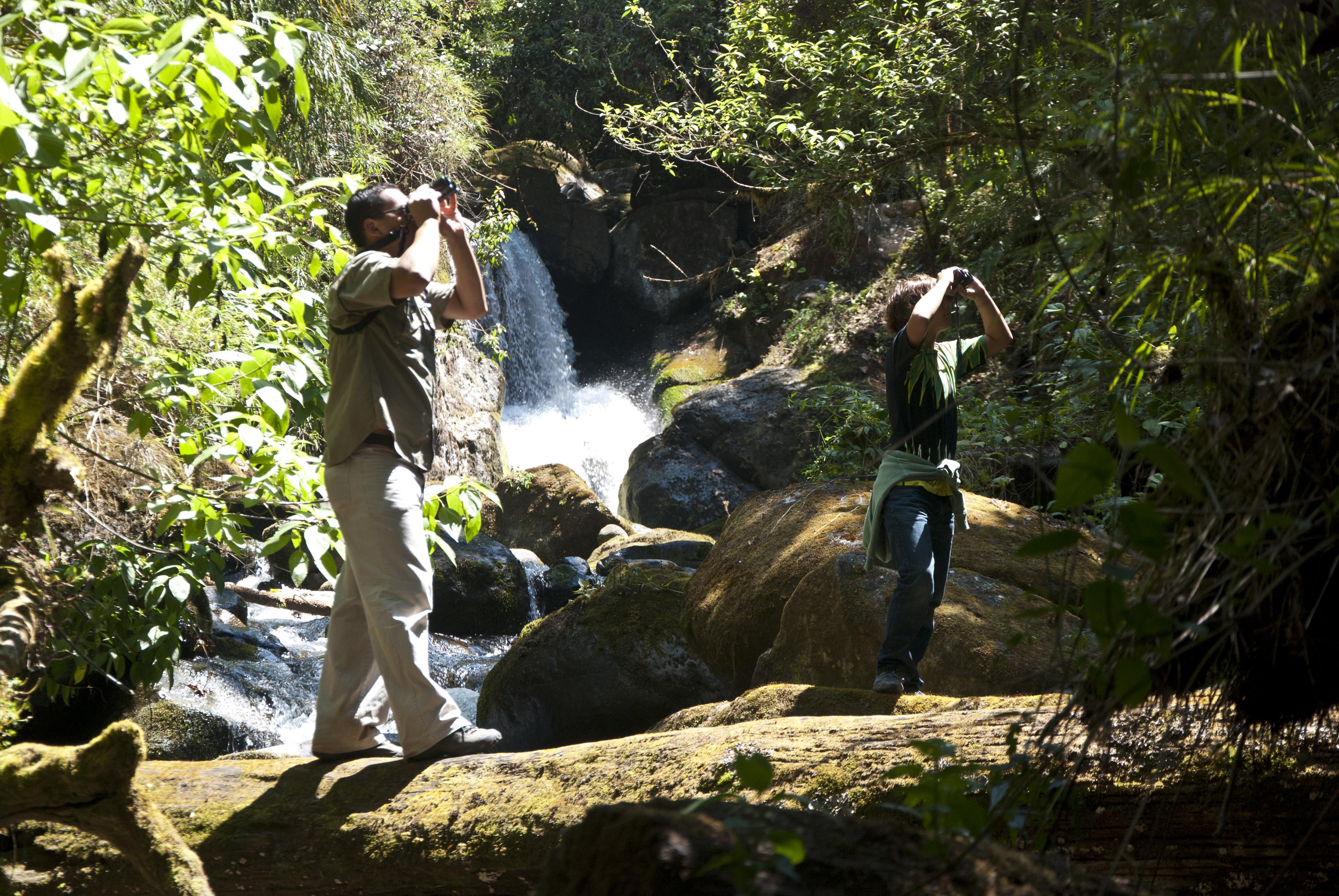 Dantica Cloud Forest Lodge ซาน เจราร์โด  เด โดตา ภายนอก รูปภาพ