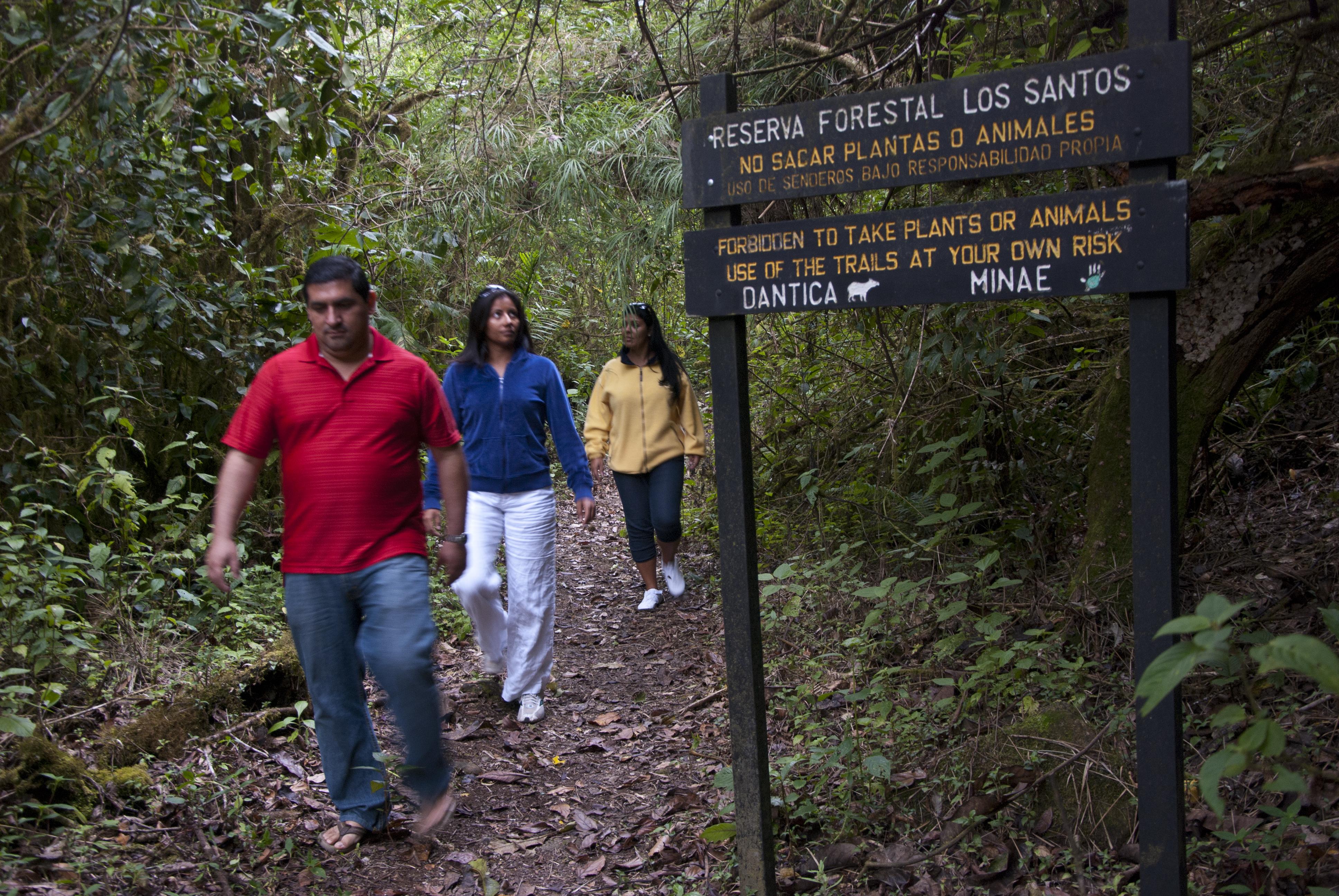 Dantica Cloud Forest Lodge ซาน เจราร์โด  เด โดตา ภายนอก รูปภาพ