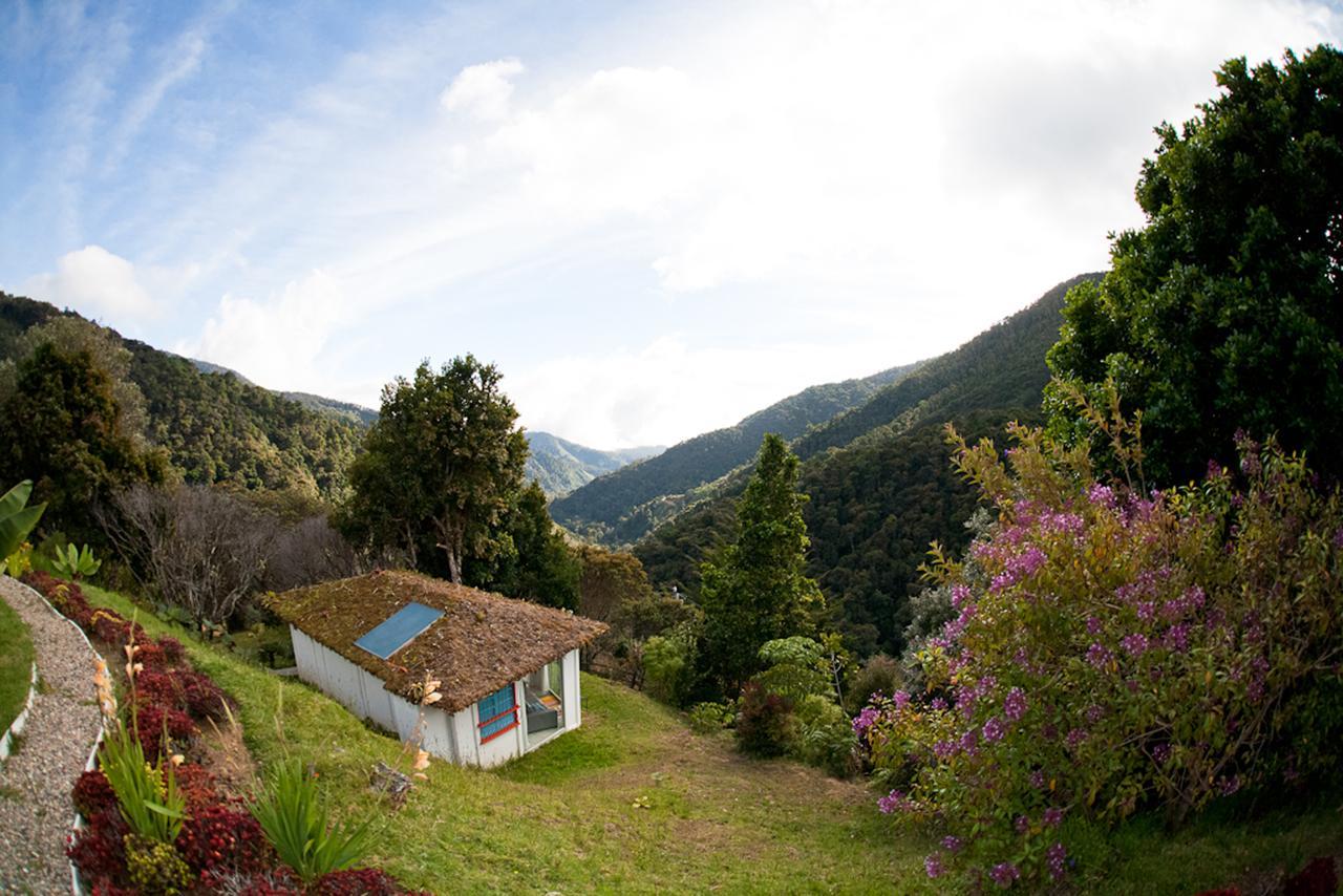 Dantica Cloud Forest Lodge ซาน เจราร์โด  เด โดตา ภายนอก รูปภาพ